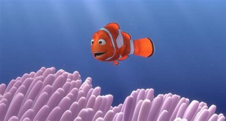 Pixar clownfish whose teacher is Mr. Ray