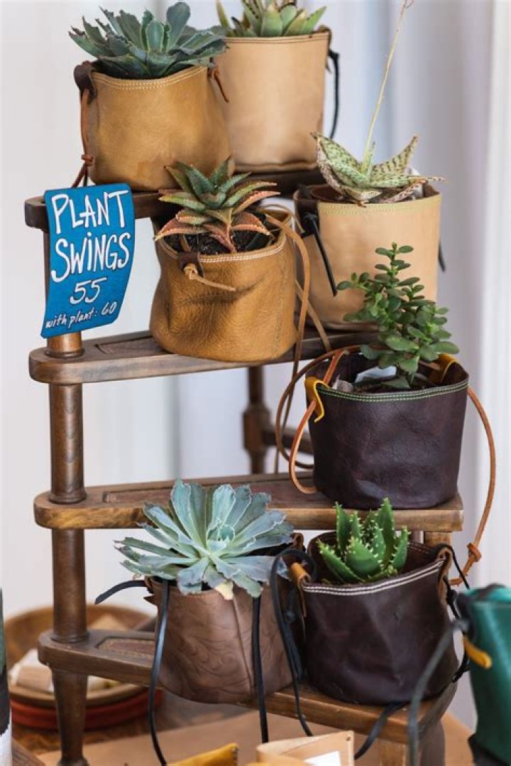 Plant that Tarzan swings on