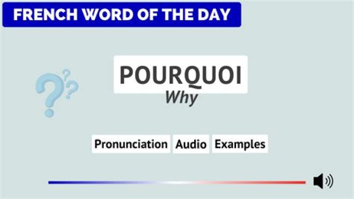 Pourquoi ___? (Why me? in French)