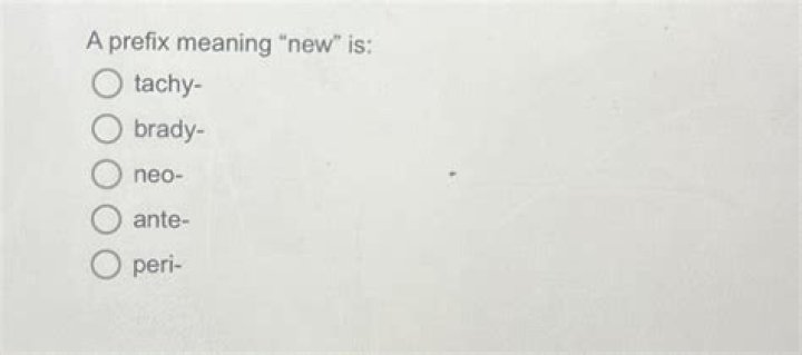 Prefix meaning new