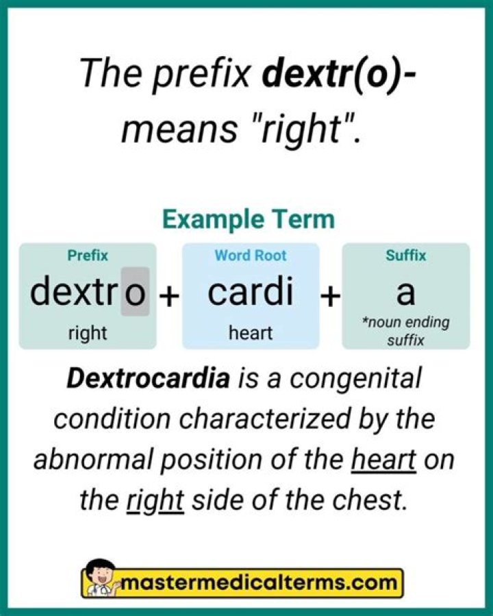 Prefix with dextrous or vert