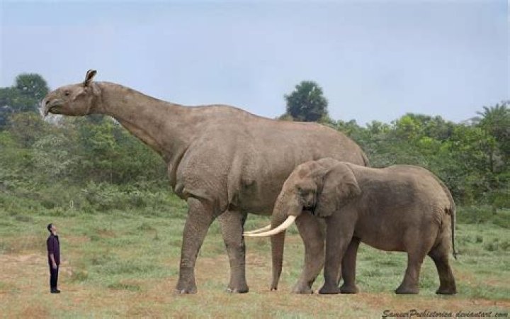 Prehistoric creature resembling an elephant