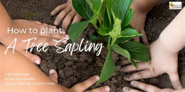 Prepared to plant a tree