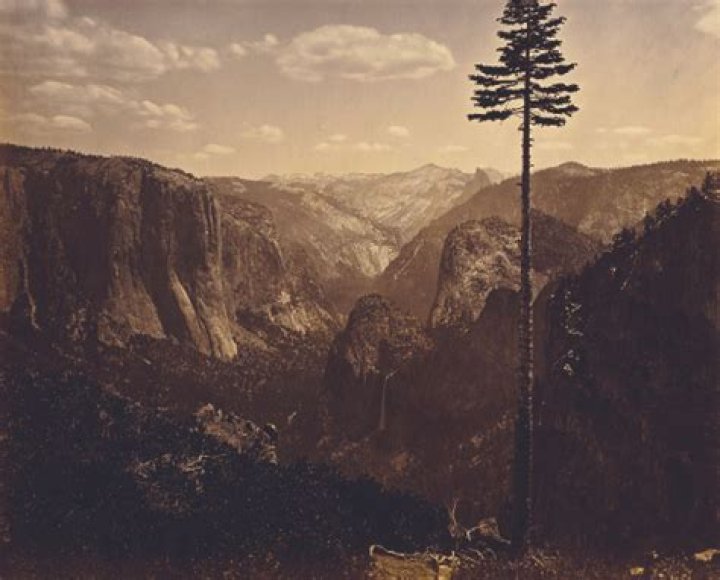 President who signed the Yosemite Valley Grant Act in 1864 setting aside land for preservation for the first time: 2 wds.