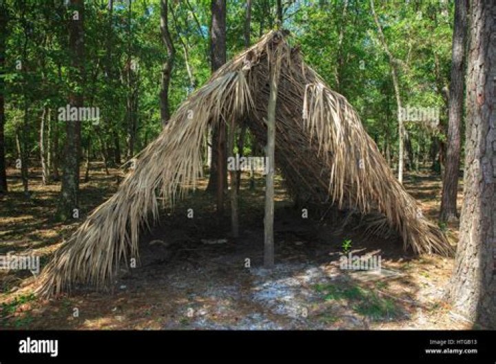 Primitive shelter