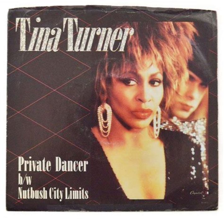 Private Dancer singer Turner