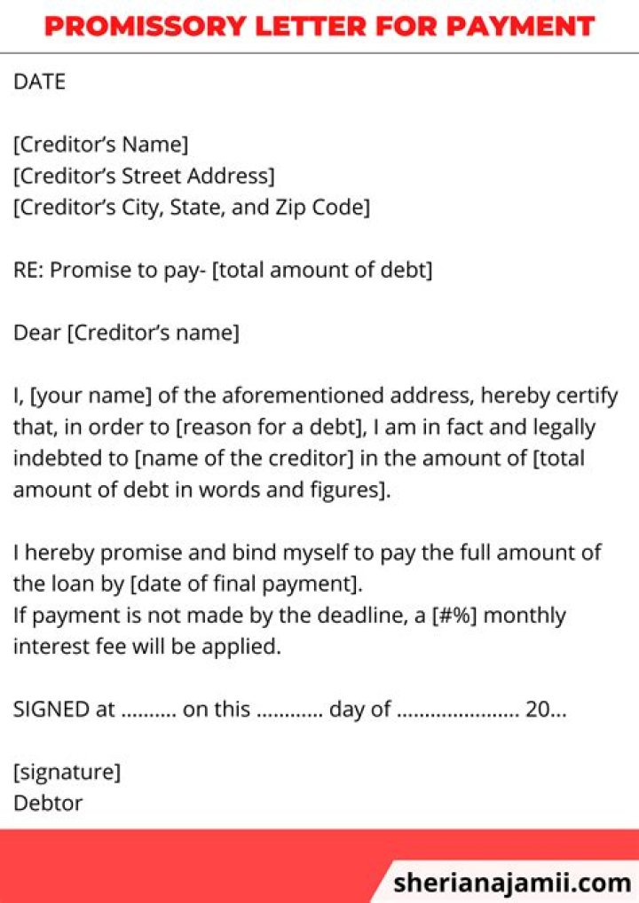 Promise to repay you later letters