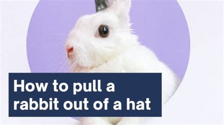 Pull a rabbit out of a ___