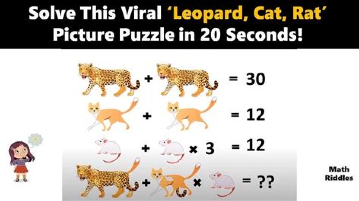 Puzzle that a lab rat might solve