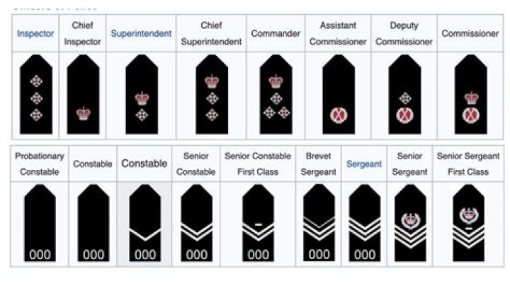Rank for some police officers: Abbr.