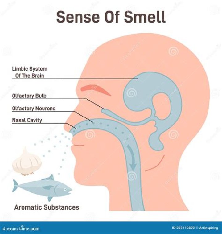 Release as a smell