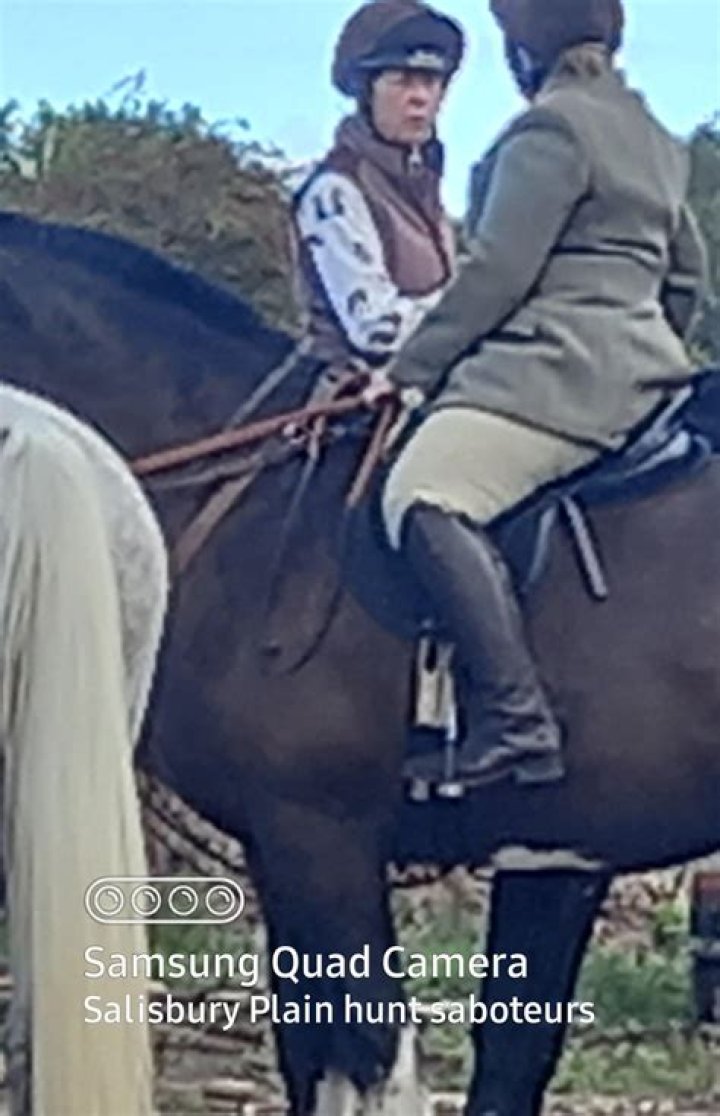 Rip to pieces: 2 wds.