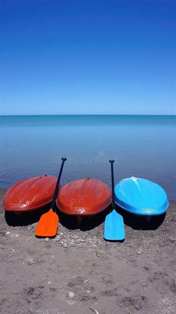 Rowboat's paddles