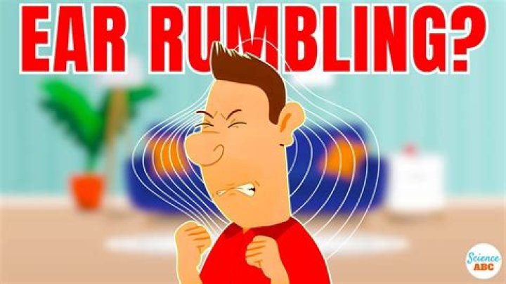 Rumbling sound from a cat