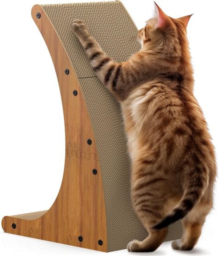 Scratching ___ (item for a pet cat)