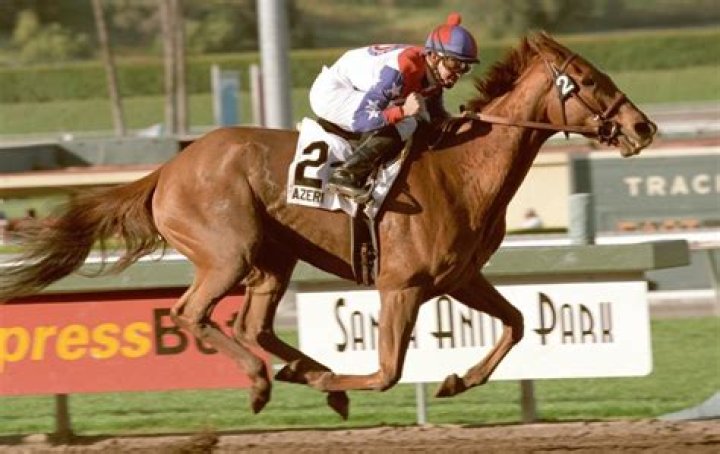 Seattle ___ (1970s racehorse)