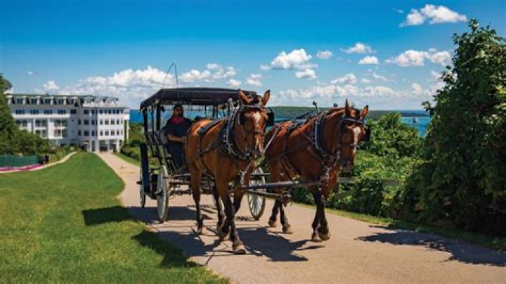 Sect that still travels by horse and buggy