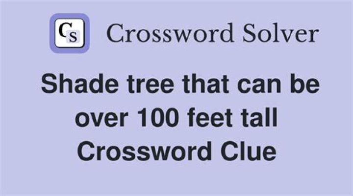 Shade tree that can be over 100 feet tall