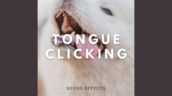 Shaming sound made by clicking your tongue