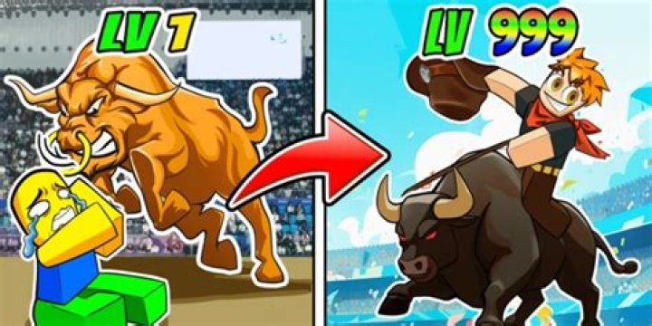 Shout at a soccer game or a bullfight