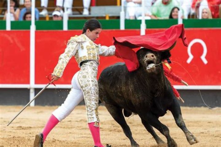 Shout during a bullfight