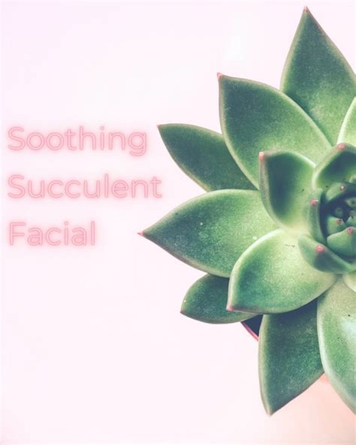 Skin-soothing succulent