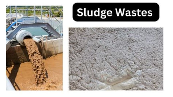 Sludge in a pigsty