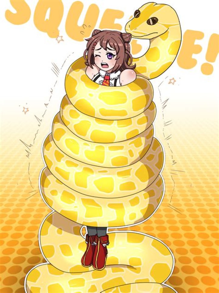 Snake with a suffocating squeeze