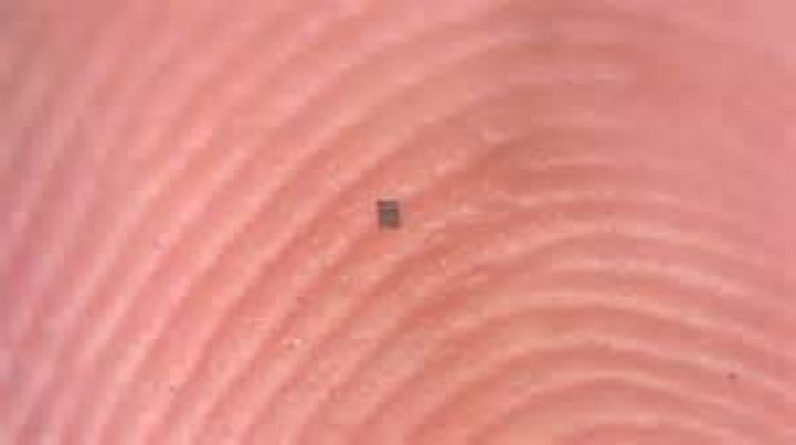 So small it can barely be seen