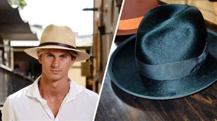 Sombrero or fedora for example