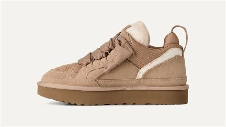 Something to tie on a sneaker