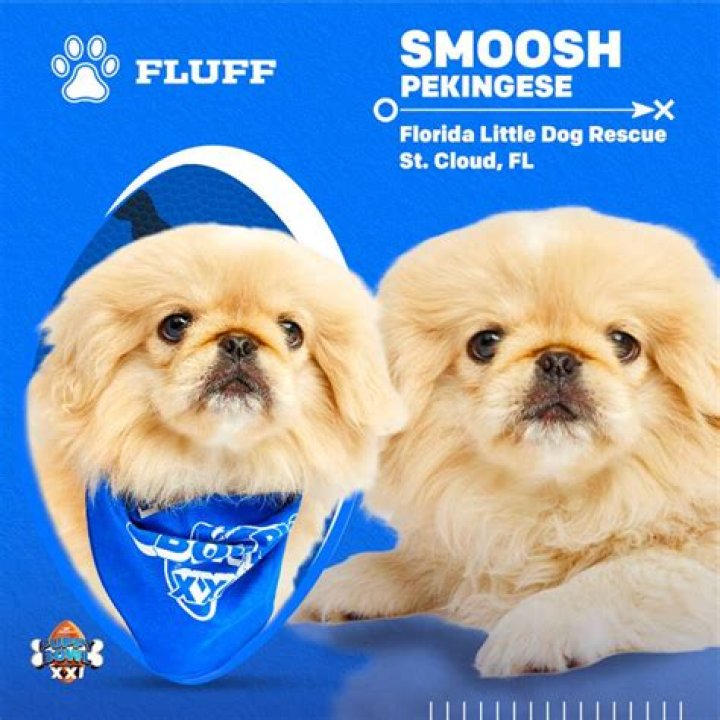 Sound that's much like ruff or arf