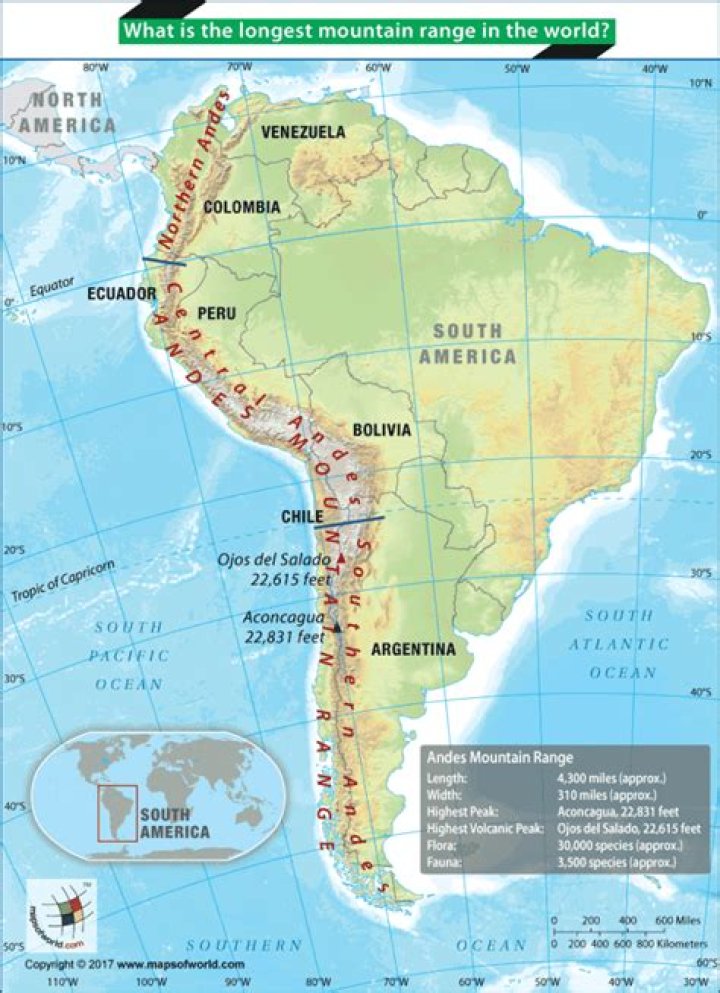 South American mountain range