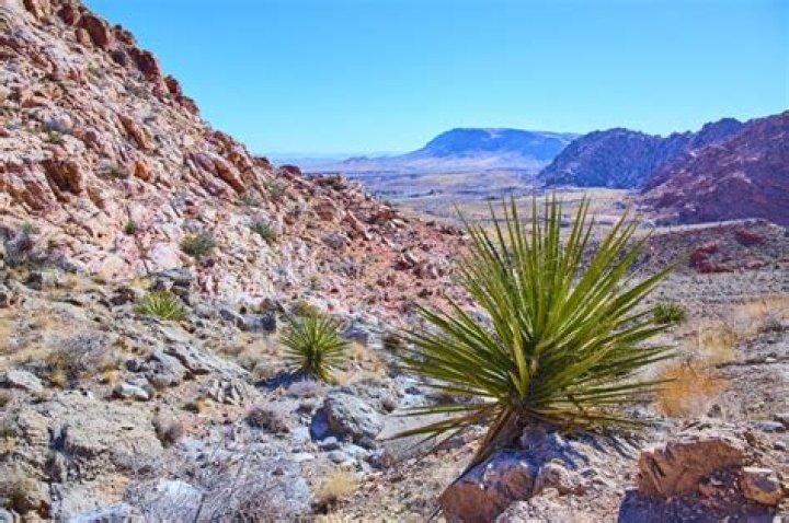 Southwestern desert plateau