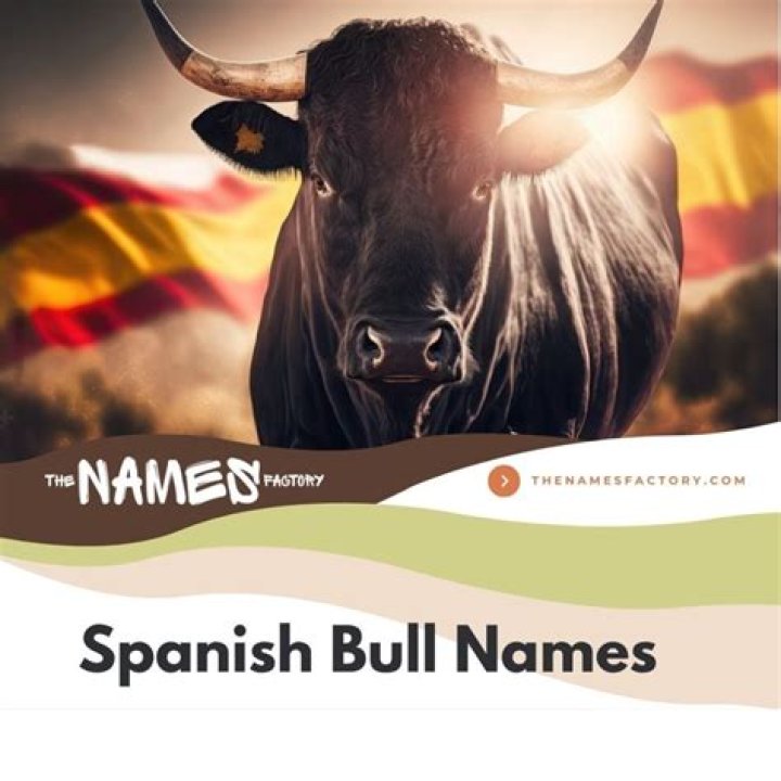 Spanish for bull