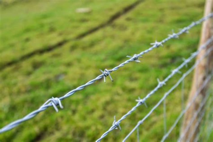 Spiky bit on a wire fence