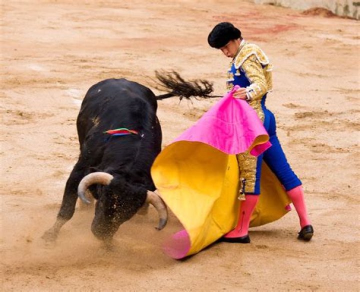 Spirited cry for a matador