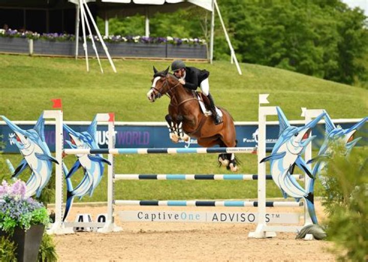 Sport that requires horses