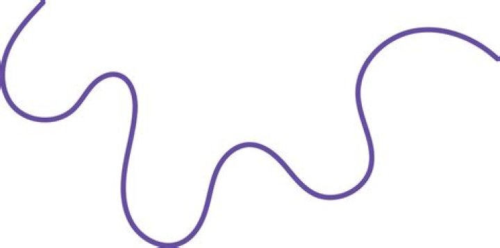 Squiggle over the n in señorita