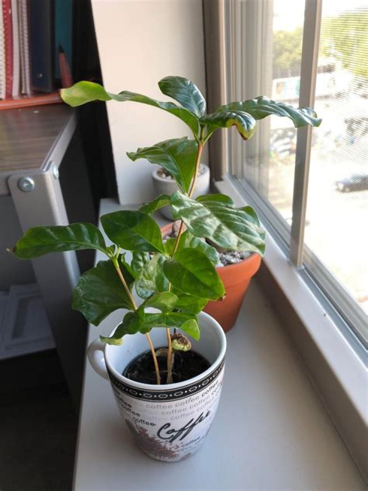 Start to droop a bit