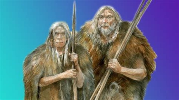 Stone ___ (when cavemen and Neanderthals lived)