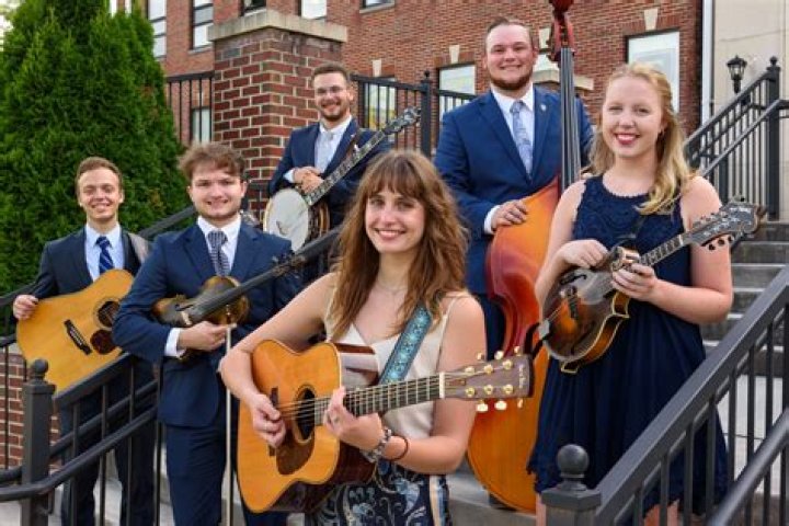 Stringed instrument in a bluegrass band