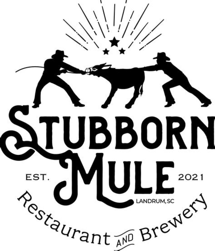 Stubborn ___ mule: 2 wds.