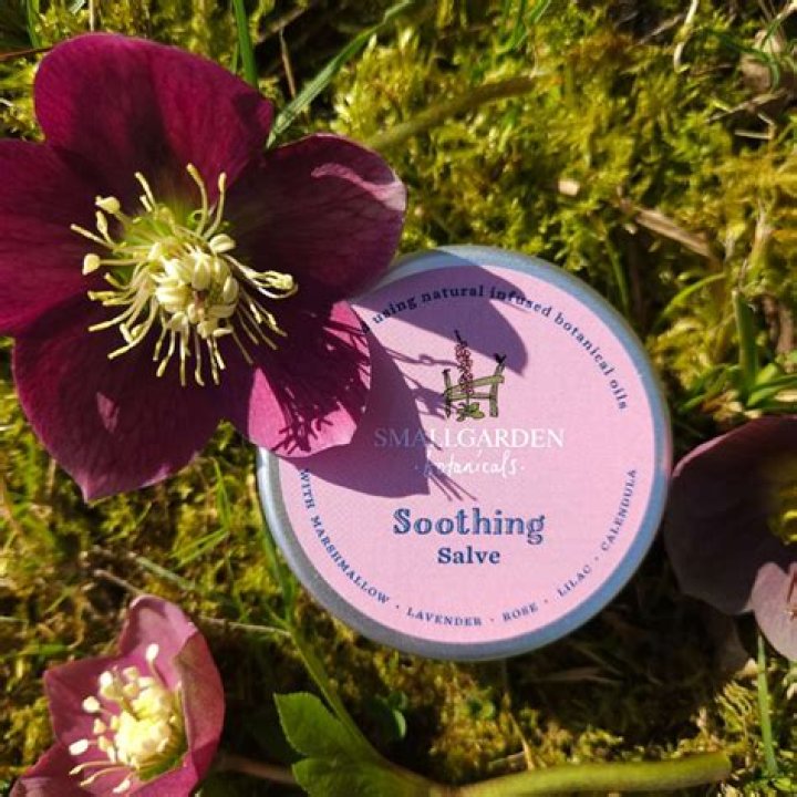 Succulent that produces a soothing salve