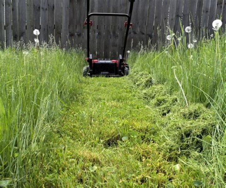 Take care of an overgrown lawn