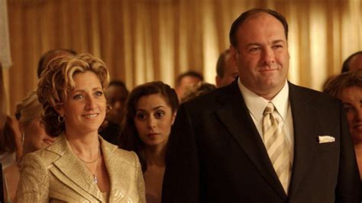 Television genre for shows like The Sopranos or Law & Order