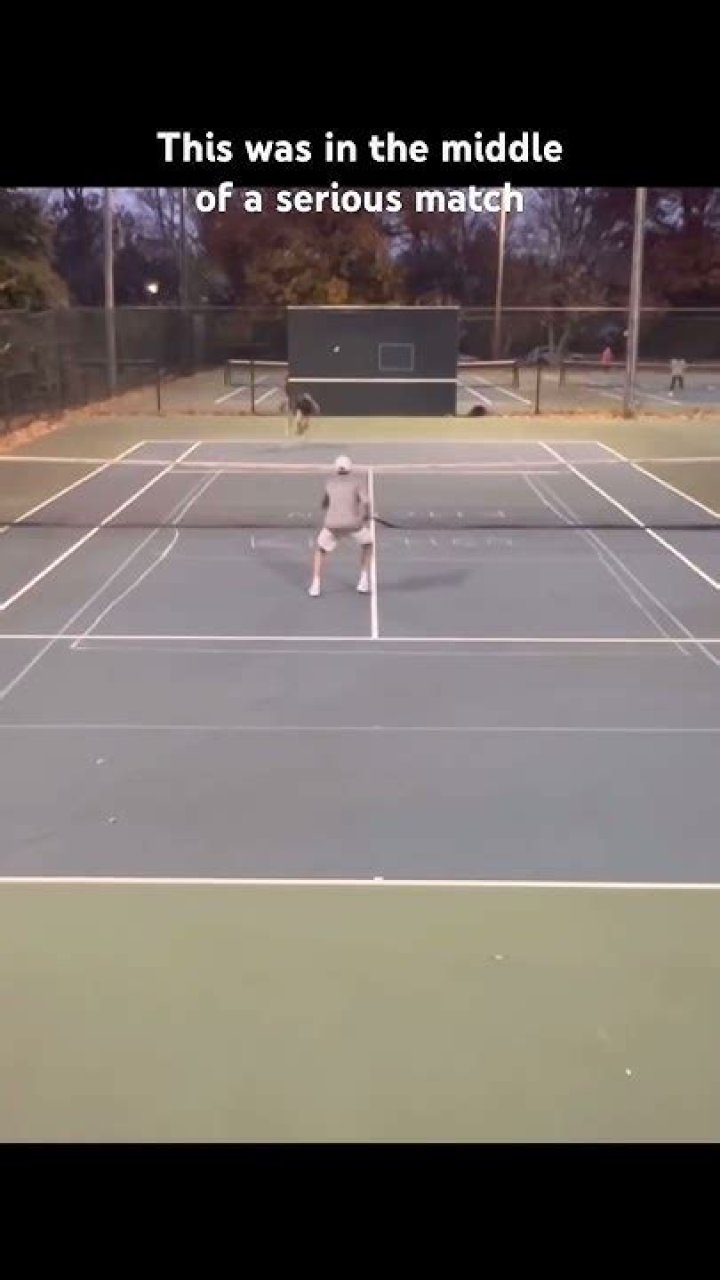 Tennis match division