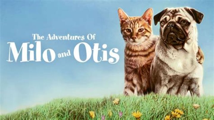 The Adventures of Milo and ___ (1986 movie about a cat and dog)