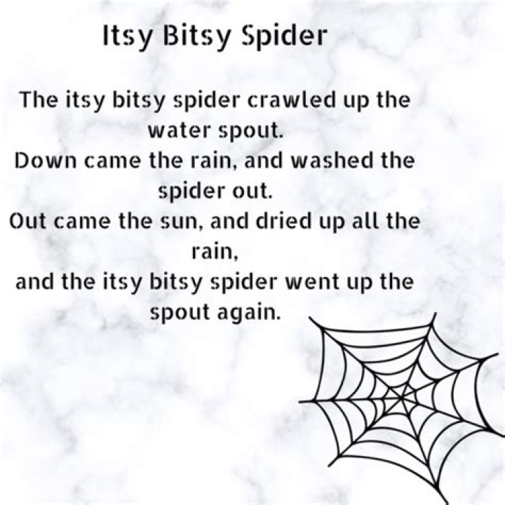The ___ Bitsy Spider