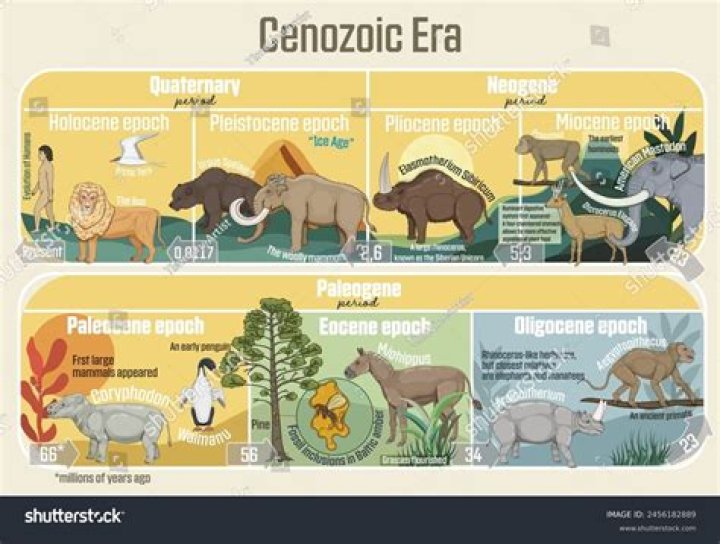 The current one is called the Cenozoic